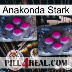 Anaconda Strong 01